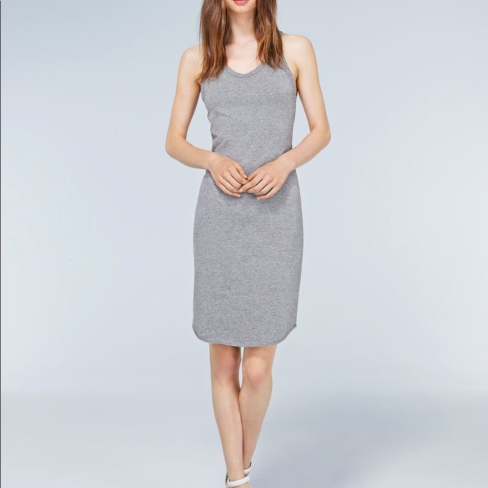Wilfred Aritzia Dress